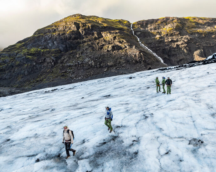 From polar bears to polar vortex: How Columbia Sportswear uses nature to protect us from it