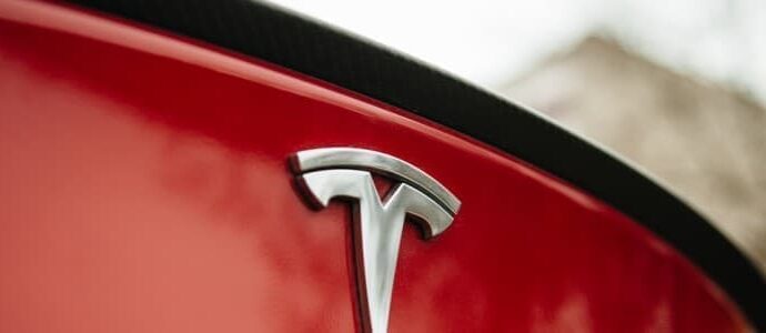 Cathie Wood Remains Bullish Despite Tesla Sales Slump