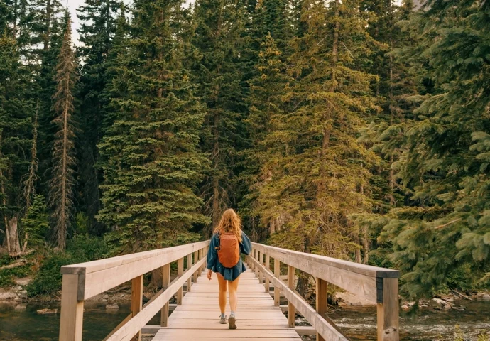 The Rise of Analog Travel: Luxury Tourism Embraces the Digital Detox