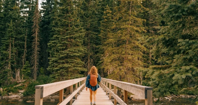 The Rise of Analog Travel: Luxury Tourism Embraces the Digital Detox