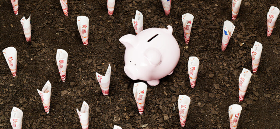 How VCs Can Create a Winning Investment Thesis