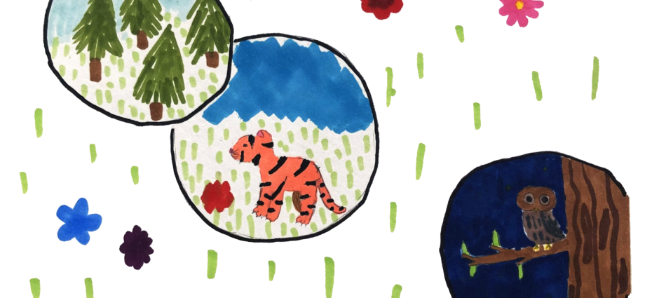 Earth Science Showcase – Kids Art Collection