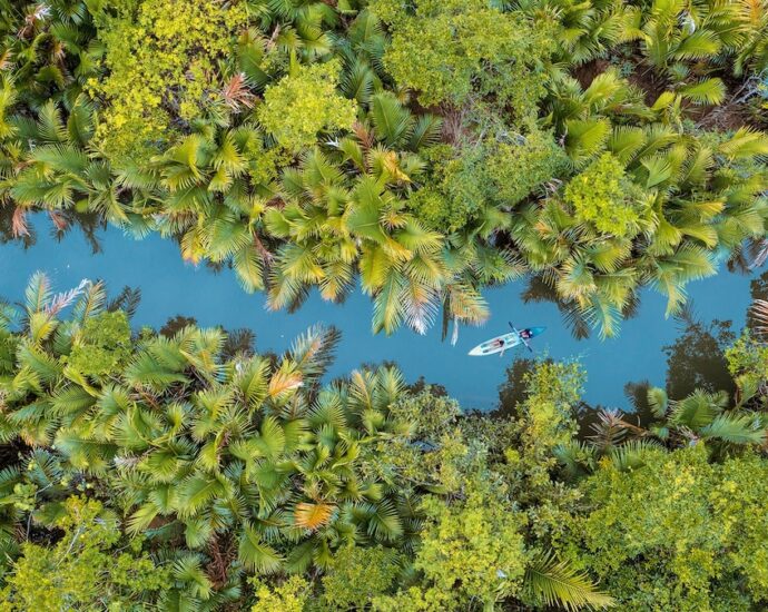 Are the world’s rivers dying? Robert Macfarlane looks for answers in his new book Is a River Alive?