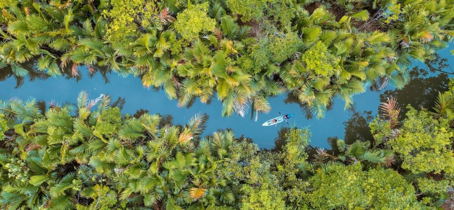 Are the world’s rivers dying? Robert Macfarlane looks for answers in his new book Is a River Alive?