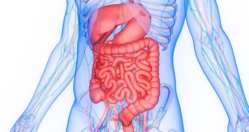 Endoscopic Procedure Shows Promise in Type 2 Diabetes Care