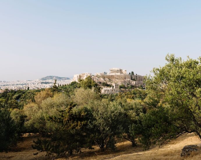 Olive oil tourism is taking off in Greece. Here’s where to taste it.