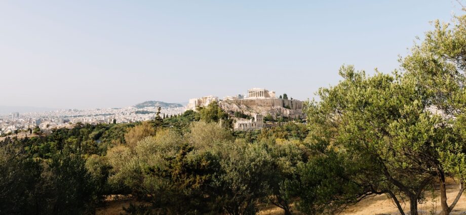 Olive oil tourism is taking off in Greece. Here’s where to taste it.