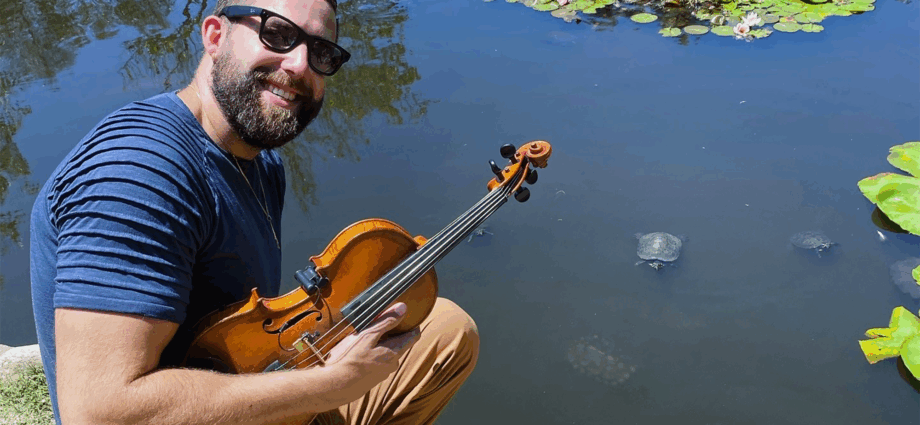 Turtles gather for sweet sounds of violinist