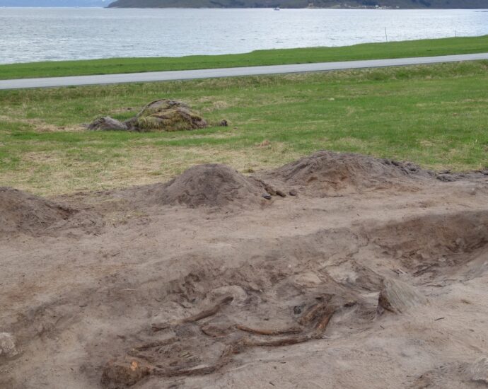 Viking woman buried in ceremonial boat with her dog
