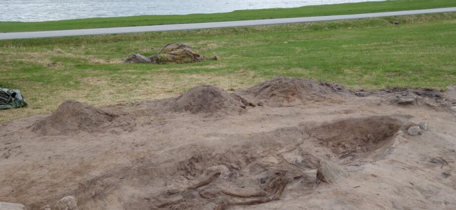 Viking woman buried in ceremonial boat with her dog