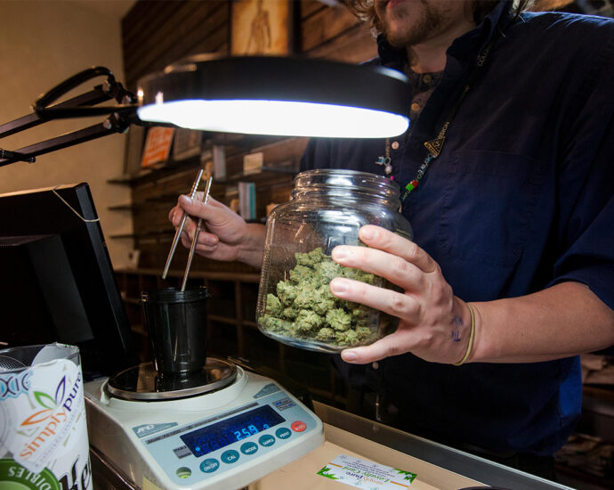 Cannabis-CVD Link Holds Strong Amid Changing Drug Laws, User Habits