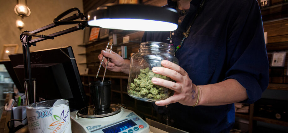 Cannabis-CVD Link Holds Strong Amid Changing Drug Laws, User Habits