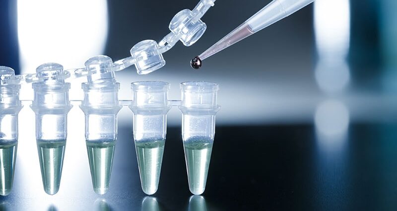 Stem Cell-Derived Islets Still Producing Insulin at 1 Year