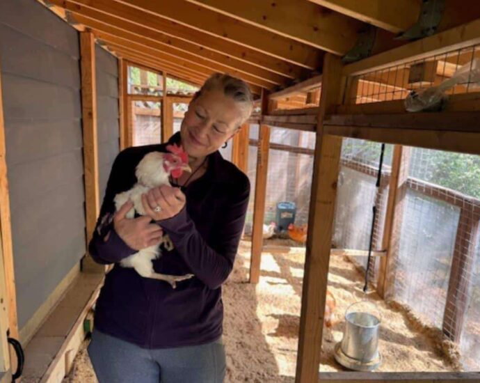 She Got a Permit for Her Chickens. Now the City Is Fining Her $80k