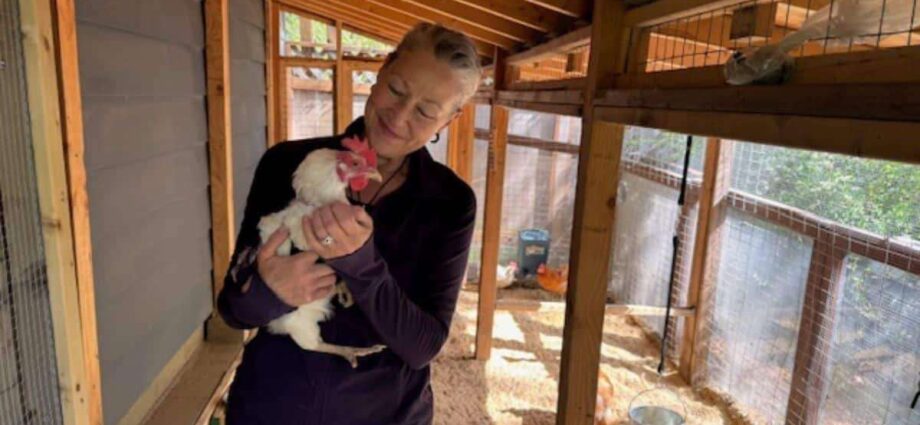 She Got a Permit for Her Chickens. Now the City Is Fining Her $80k