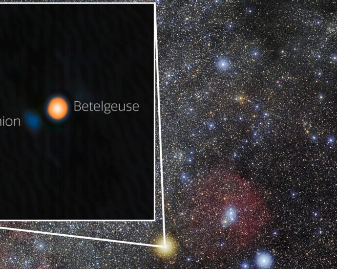 Betelgeuse’s companion star finally located after years of debate