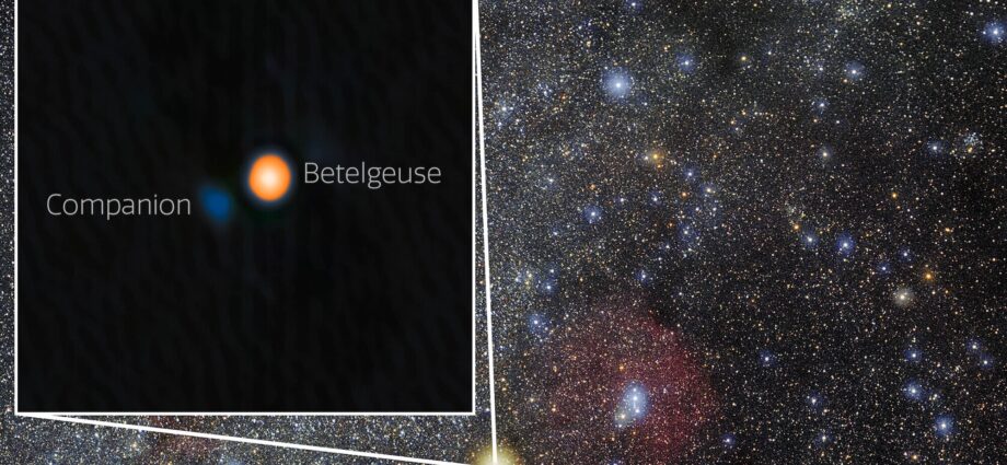 Betelgeuse’s companion star finally located after years of debate
