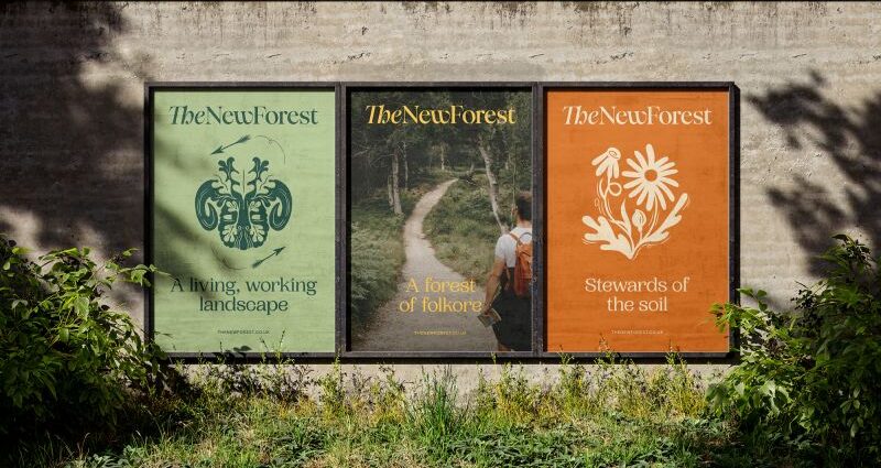 Studio Glass rebrands The New Forest with folklore, fungi creams and a whole lot of heart