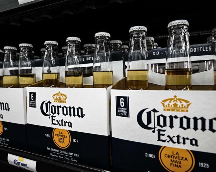 Constellation Brands says ‘socioeconomic headwinds’ are hurting beer sales, amid immigration crackdown