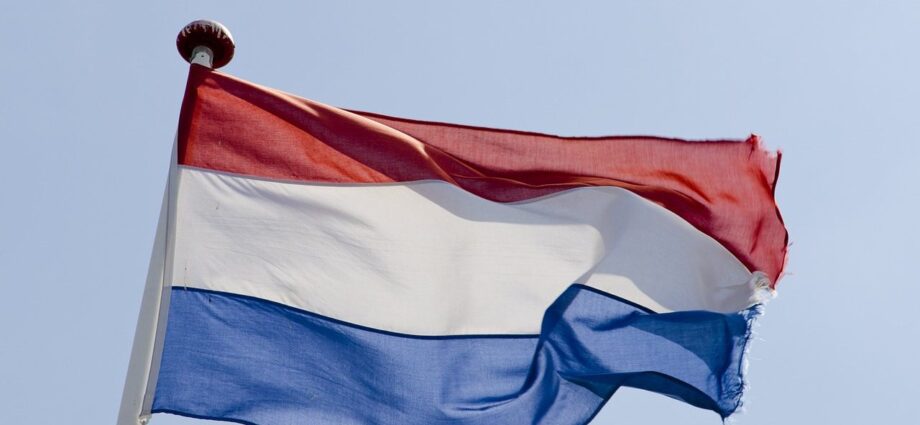 Lower deposit limits reducing Dutch gambling losses as illegal market search rises