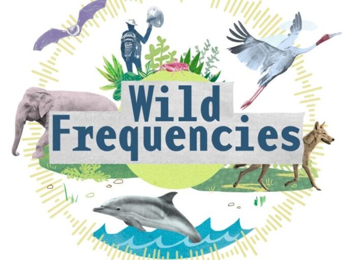 Mongabay India podcast ‘Wild Frequencies’ wins audio reporting award