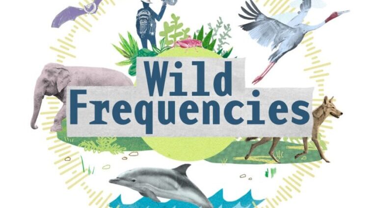 Mongabay India podcast ‘Wild Frequencies’ wins audio reporting award