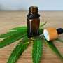 FDA study links high consumer CBD doses to liver enzyme elevations