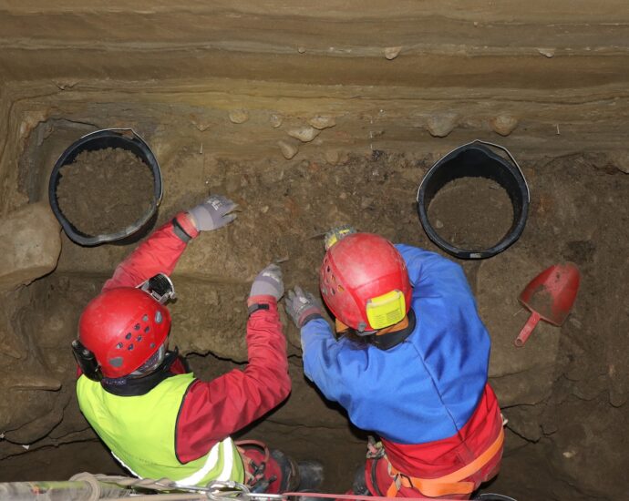 Remote Norwegian cave is an ice age animal jackpot