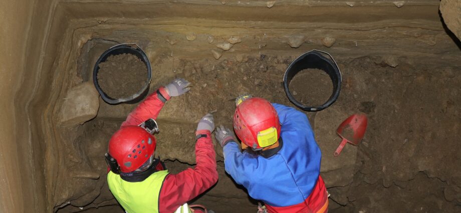 Remote Norwegian cave is an ice age animal jackpot