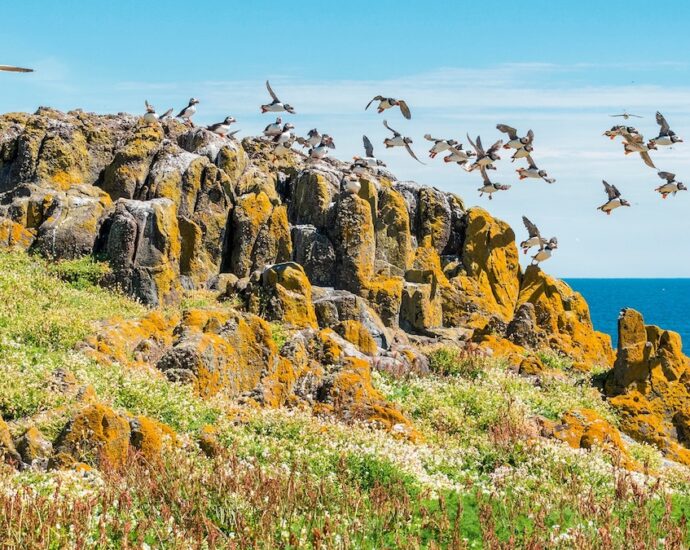 Why coastal Fife is one of Scotland’s best walking adventures