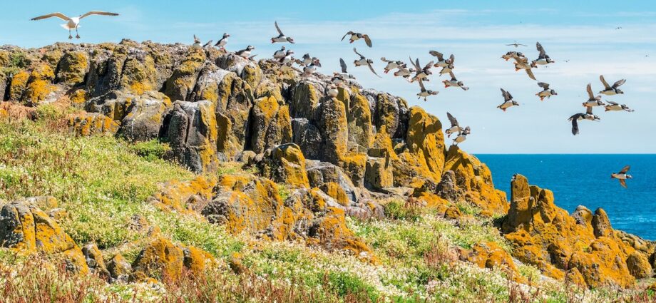 Why coastal Fife is one of Scotland’s best walking adventures