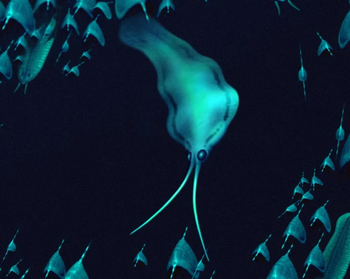 500-million-year-old “squid” were actually ferocious worms
