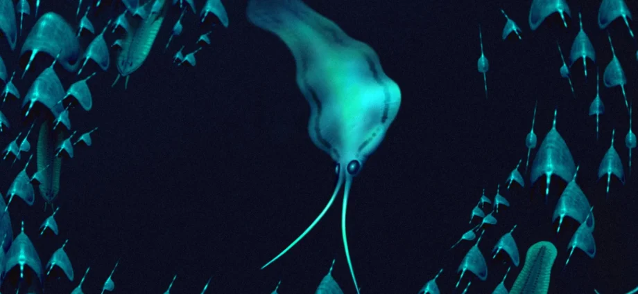 500-million-year-old “squid” were actually ferocious worms