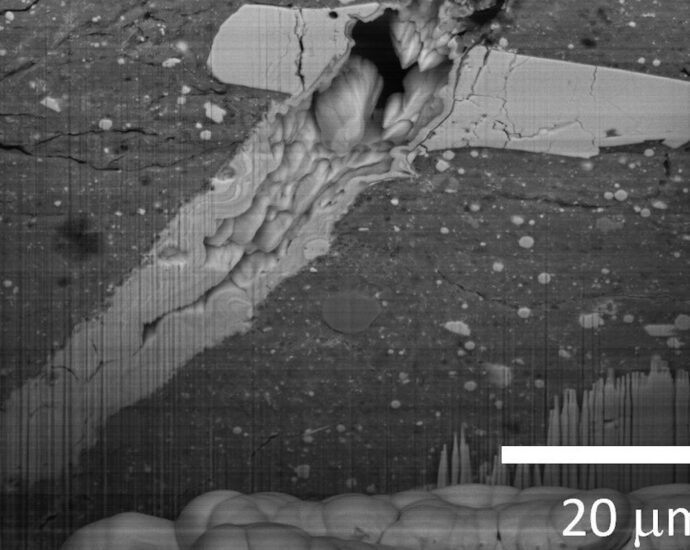 Some asteroids are more ‘colorful’ than others. Here’s why.