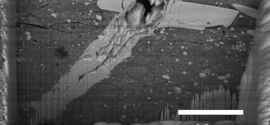 Some asteroids are more ‘colorful’ than others. Here’s why.