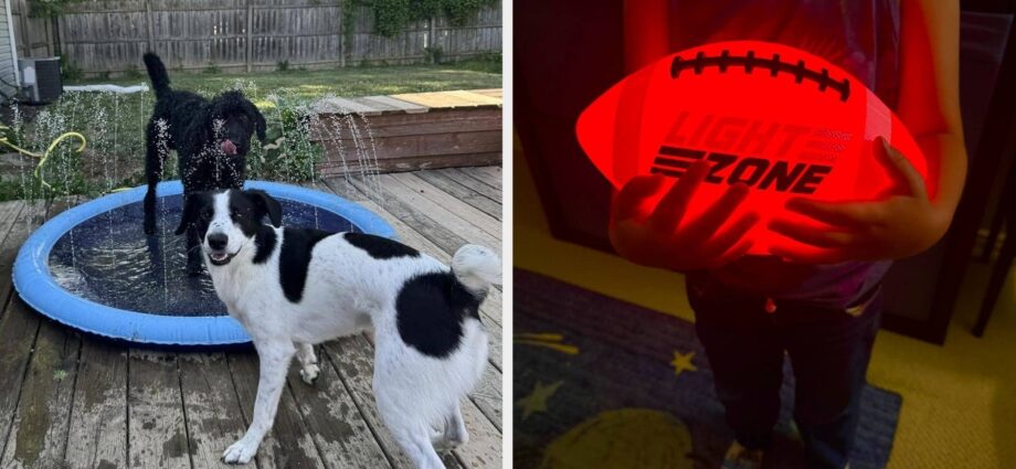 27 Things To Help Tire Out Your Kids And/Or Pets While Spending Time Outdoors