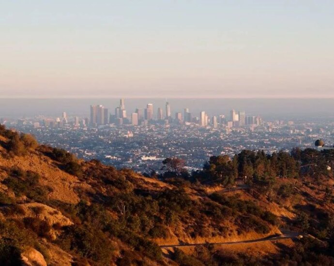 Which Music Orgs Received FireAid Money, And How Much Did They Get?