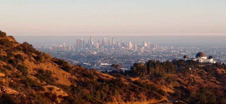 Which Music Orgs Received FireAid Money, And How Much Did They Get?