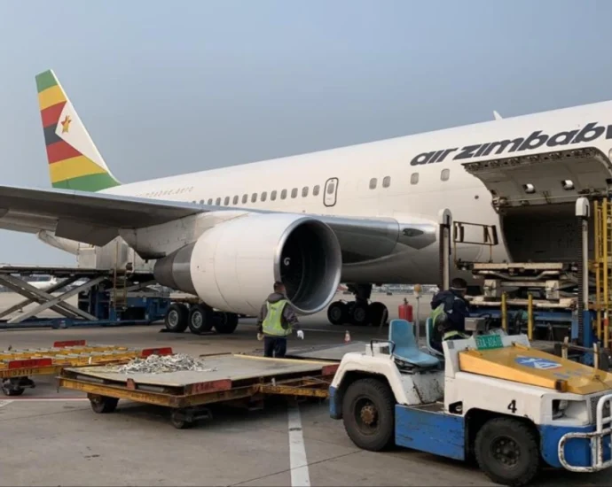 Air Zimbabwe Says Harare–Mutare–Victoria Falls Daily Flights Now Permanent