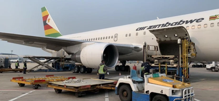 Air Zimbabwe Says Harare–Mutare–Victoria Falls Daily Flights Now Permanent