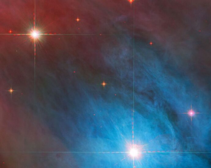 To the stars: a stellar trivia quiz