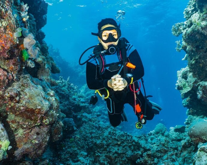 What it’s like to night dive on the Great Barrier Reef
