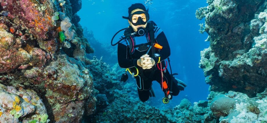 What it’s like to night dive on the Great Barrier Reef