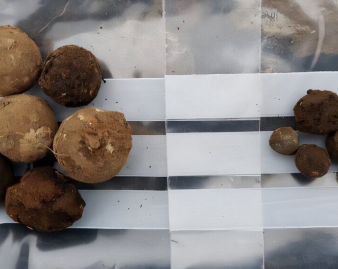 18th century lead ammo found in Scottish Highlands