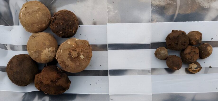 18th century lead ammo found in Scottish Highlands