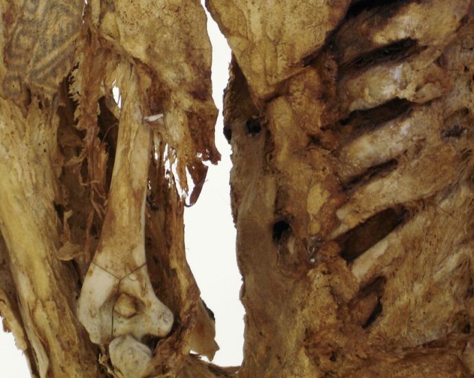 Here are 6 amazing ancient tattoos—and the stories behind them