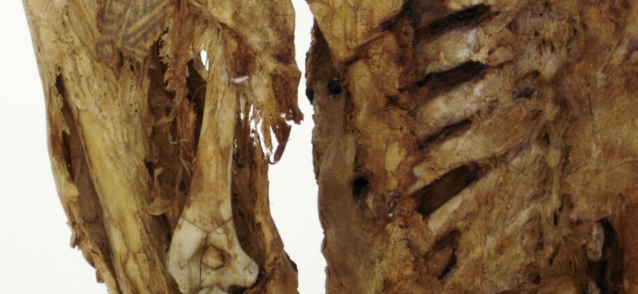 Here are 6 amazing ancient tattoos—and the stories behind them