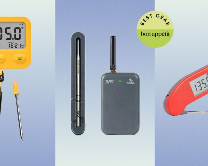 The Best Meat Thermometers for Perfectly Cooked Proteins Every Time (2025)