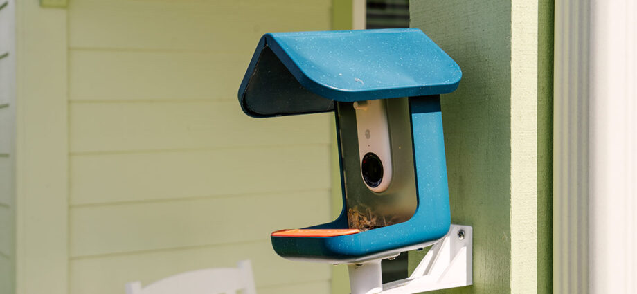 Bird Buddy’s best smart feeders are only $229 during Amazon’s Black Friday sale, and some models are even less