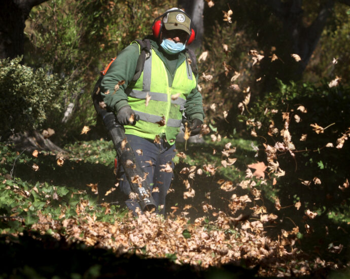 Everyone hates gas-powered leaf blowers. So why is it so hard to ban them?